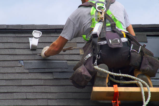Best Gutter Installation and Roofing  in Rocky Mount, NC
