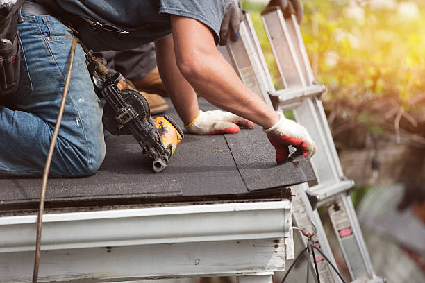Best Shingle Roofing Installation  in Rocky Mount, NC